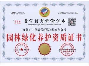 园林绿化护养资质证书